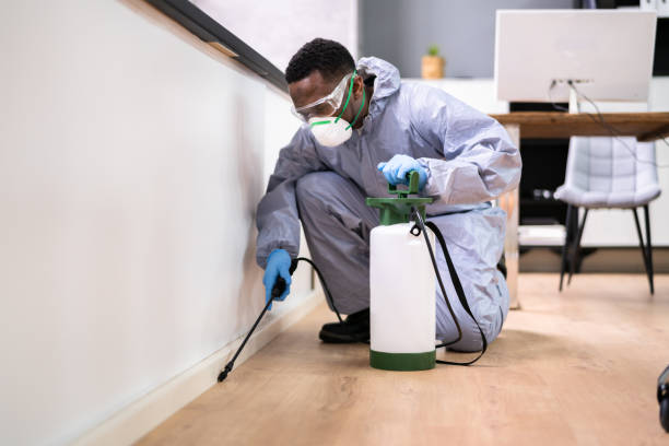 Best Residential Pest Control  in Fairlawn, VA